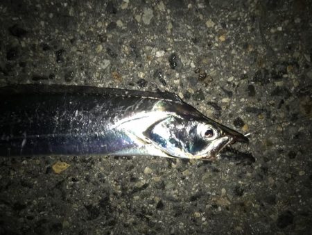 戻り気配が…。