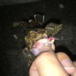 軽〜くゆる〜く