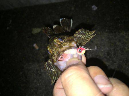 軽〜くゆる〜く