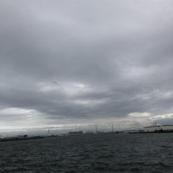 台風前タチウオ