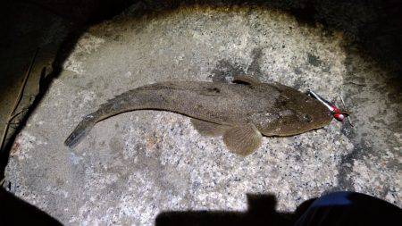 河口部　ジギング