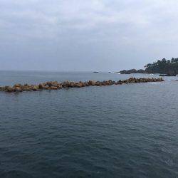 イカは何処に居るん？