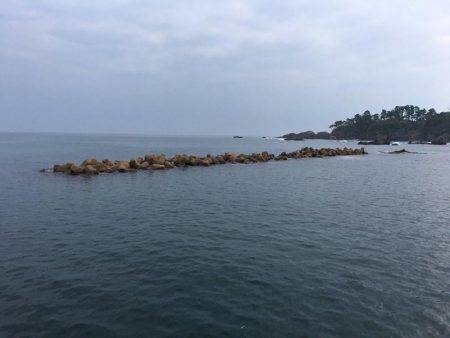 イカは何処に居るん？