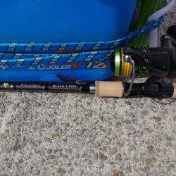 コスモがいっぱいやろ~と思い青岸に行って来ました。青岸も同じくいっぱいでした。