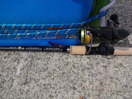 コスモがいっぱいやろ~と思い青岸に行って来ました。青岸も同じくいっぱいでした。