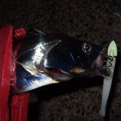 久々のつ抜け！