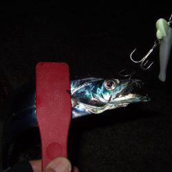 ラインのメンテナンスは怠ってはいけません