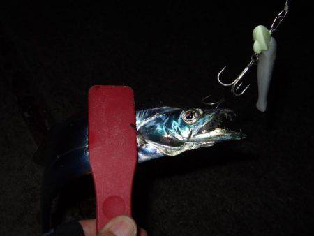 ラインのメンテナンスは怠ってはいけません