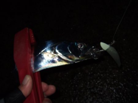 雨の合間に刀狩り