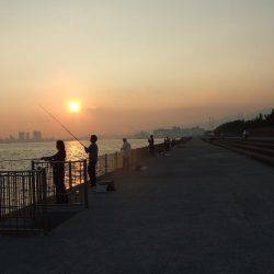 今日だけ？激渋タチウオ