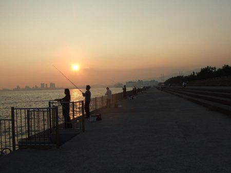 今日だけ？激渋タチウオ