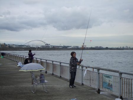 サヨリは女性アングラーに人気ですね