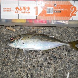 台風が来る前に