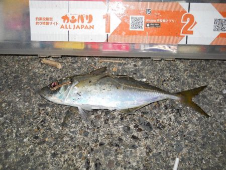 台風が来る前に