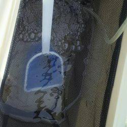 のんびり釣りを満喫♪