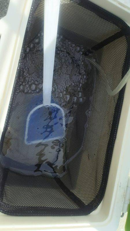 のんびり釣りを満喫♪