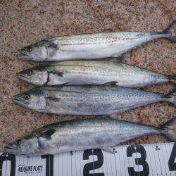 HGリールが欲しい〰❗