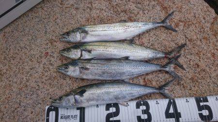 HGリールが欲しい〰❗