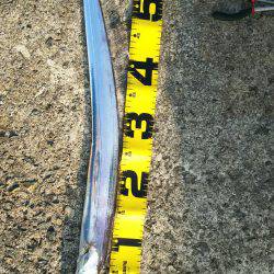 渋かったです。