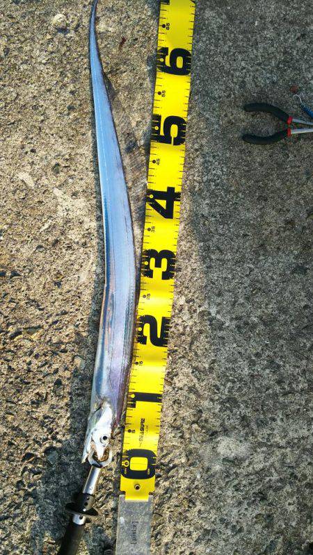 渋かったです。