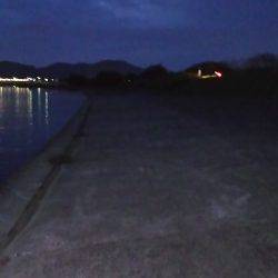 ナイトゲームシーバス