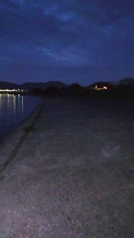 ナイトゲームシーバス