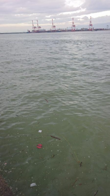 台風後②なんとか