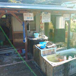 久しぶりの有田川