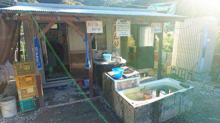 久しぶりの有田川