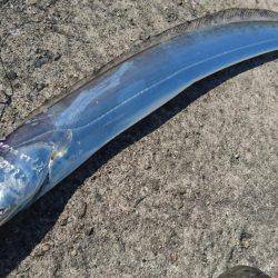 久しぶりの武庫一