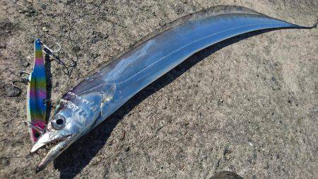 久しぶりの武庫一