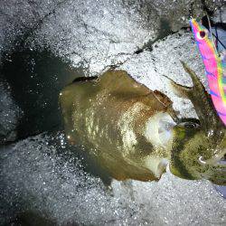 んー。ぼちぼち