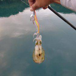 ちょこっとエギング