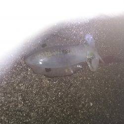 久しぶりの釣り