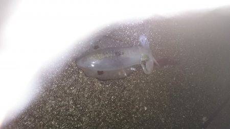 久しぶりの釣り