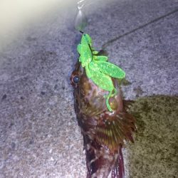 台風が来る前に