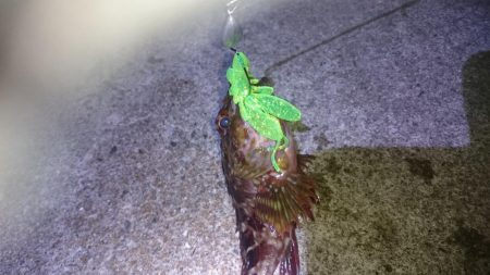 台風が来る前に