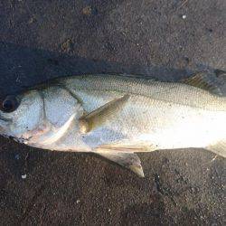 ちゃんと食べれてる?