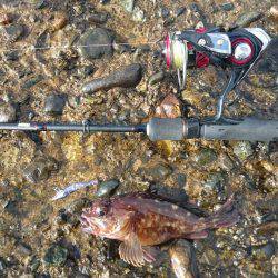 冬の海模様になってきました(`・ω・´)