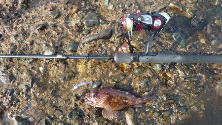 冬の海模様になってきました(`・ω・´)