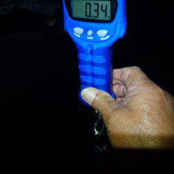 釣れない時のＪＰ頼み