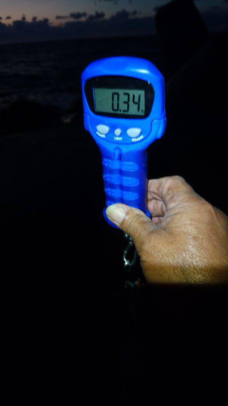 釣れない時のＪＰ頼み