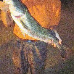 竿したのガシラ狙いと太刀魚釣り