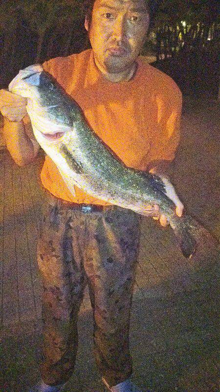 竿したのガシラ狙いと太刀魚釣り