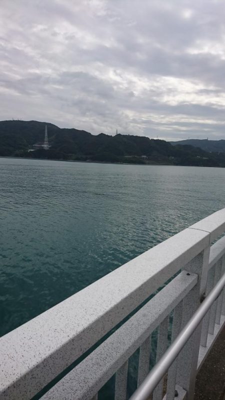 青物ノマセ複数匹、三連覇達成