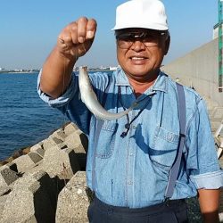 二見へ落ちギス調査②