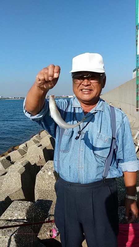 二見へ落ちギス調査②