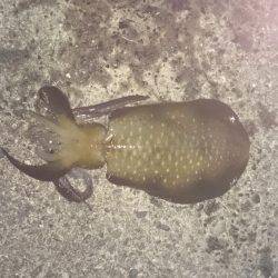 雨が降る前に行ってきました