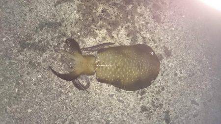 雨が降る前に行ってきました