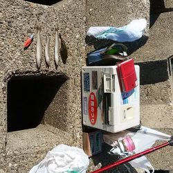 東二見人工島へ落ちギス調査３連投